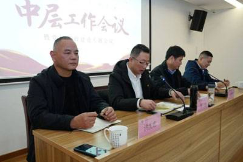 【盐保动态】向新向稳向好 这场会议划重点——公司召开中层工作会议暨党风廉政建设专题会议 发布时间：2025-04-02 16:08:00